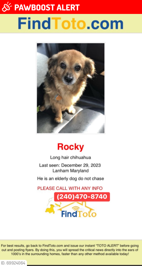 Lost Male Dog last seen Montgomery County , Prince George's County, MD 20706