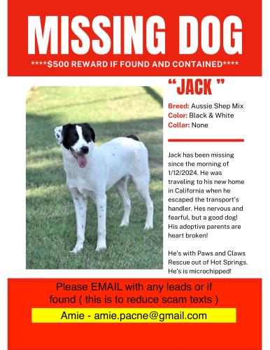 Lost Male Dog last seen Rte 23 and Rte 304 Intersection, Booneville, AR 72927