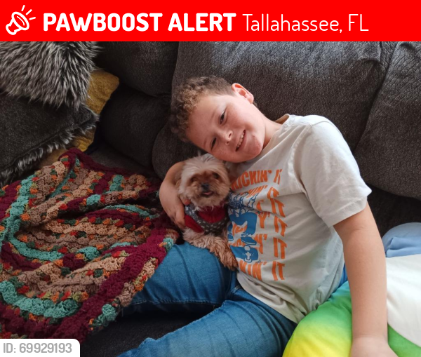 Lost Female Dog last seen Oakwood reserve, Tallahassee, FL 32304