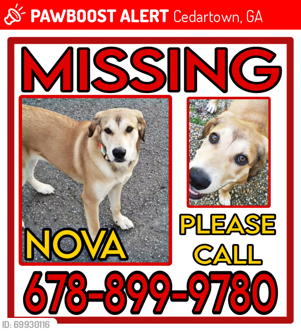 Lost Female Dog last seen Meadow Lakes/Lake Creek/Rome Hwy area Cedartown GA 30125, Cedartown, GA 30125