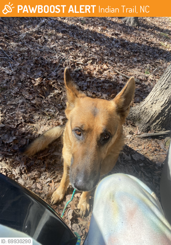 Found/Stray Male Dog last seen Pinnacle storage , Indian Trail, NC 28104