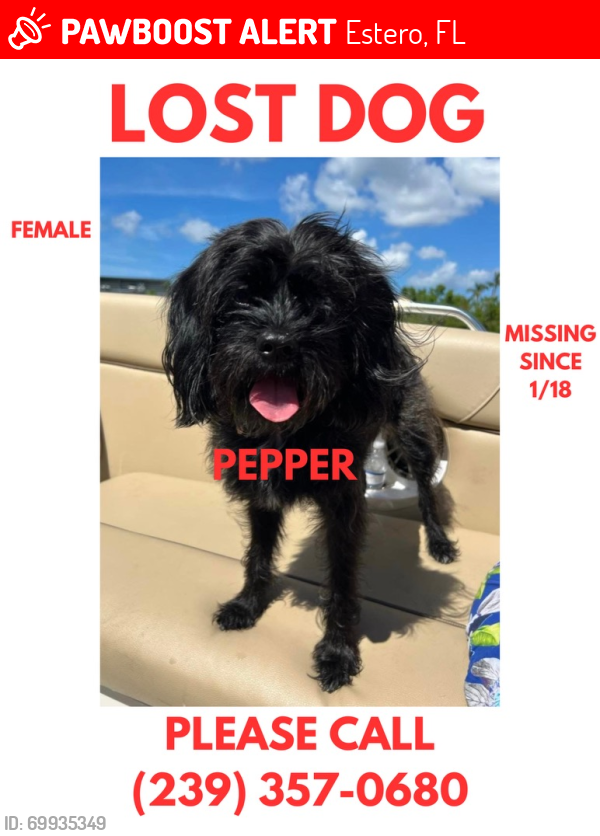 Lost Female Dog last seen Estero parkway/ three oaks, Estero, FL 34135