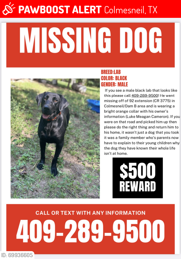 Lost Male Dog last seen Colmesneil, Colmesneil, TX 75938