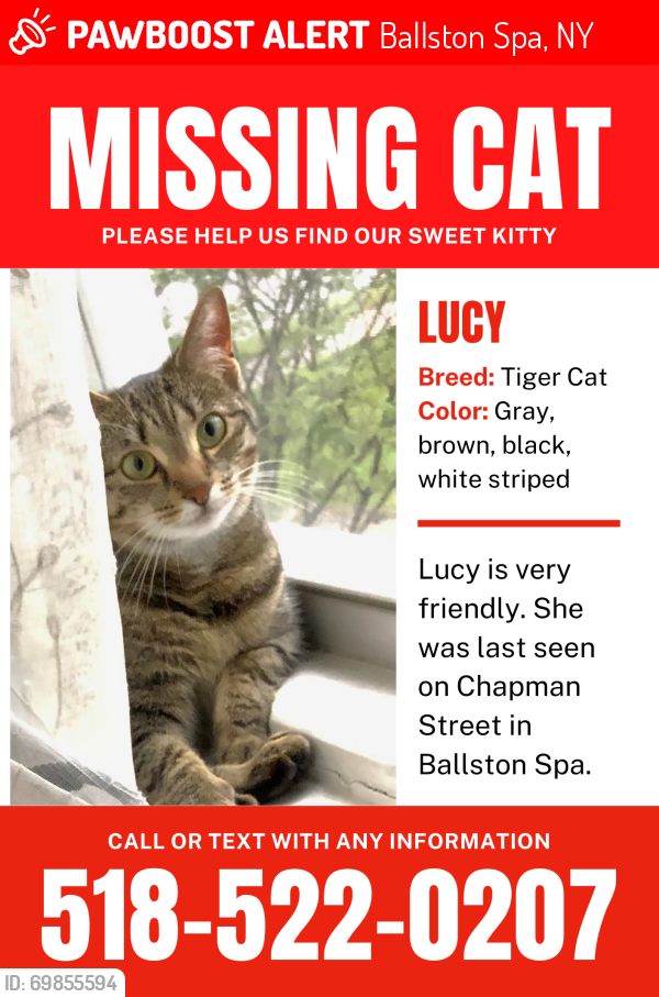 Lost Female Cat last seen Chapman street, Ballston spa, Ballston Spa, NY 12020