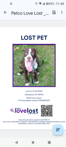 Lost Male Dog last seen Superior and Wade Park , Cleveland, OH 44103