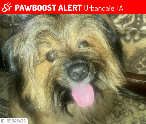 Lost Male Dog last seen South Karen Acres Park, Urbandale, IA 50322