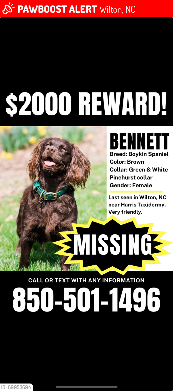 Lost Female Dog last seen Highway 96  at Harris Taxidermy , Wilton, NC 27522
