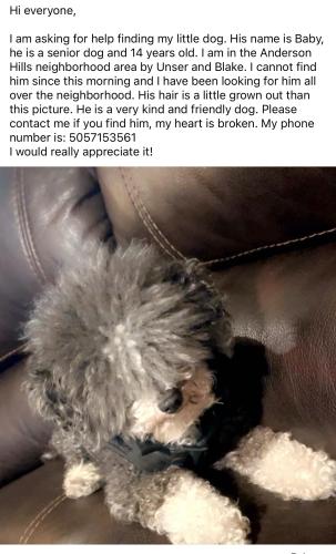 Lost Male Dog last seen Unser and Dennis chavez, Albuquerque, NM 87121