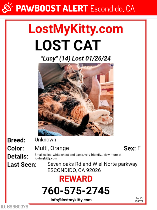 Lost Female Cat last seen Loma lane, Escondido, CA 92026