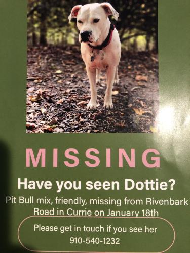 Lost Female Dog last seen Rivenbark RdCurrie NC, Pender County, NC 28435