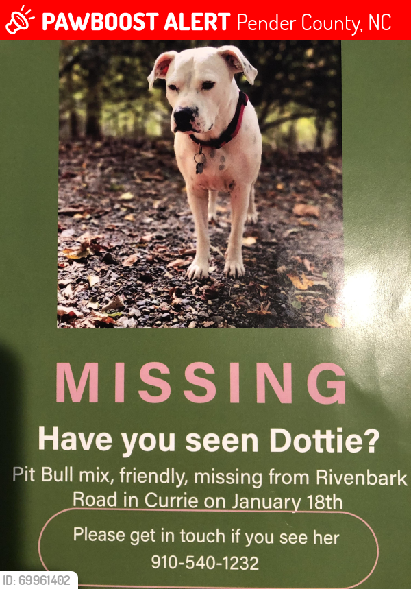 Lost Female Dog last seen Rivenbark RdCurrie NC, Pender County, NC 28435
