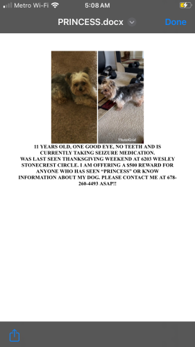 Lost Female Dog last seen Stonecrest Mall, Stonecrest, GA 30038