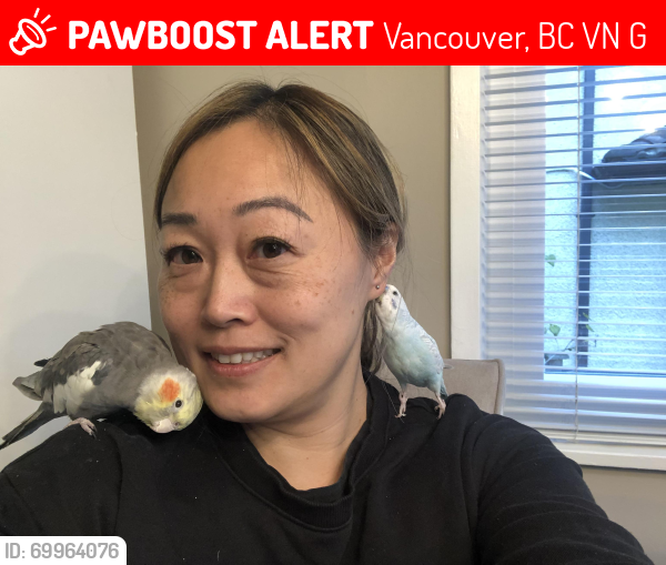 Lost Male Bird last seen Near W. 33rd Ave (cross street is Macdonald St. in Mackenzie Heights), Vancouver, BC V6N 2G1