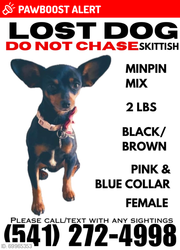 Lost Female Dog last seen Orme Rd, Dewey-Humboldt, AZ 86327