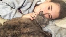 Lost Female Cat last seen Comanche Road, Hatteras Road, Cayuga Road, Virginia Beach, VA 23462
