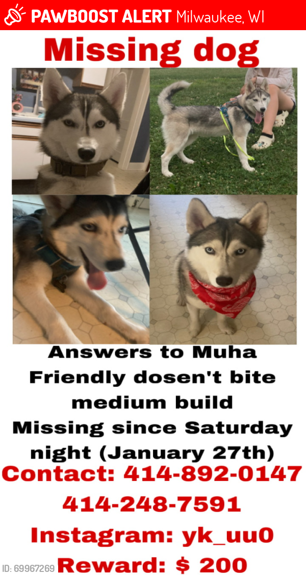 Lost Male Dog last seen 6th st and Oklahoma, Milwaukee, WI 53215