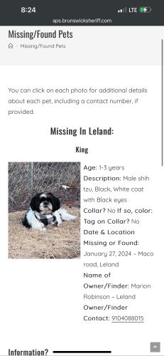 Lost Male Dog last seen maco rd leland nc, Leland, NC 28451