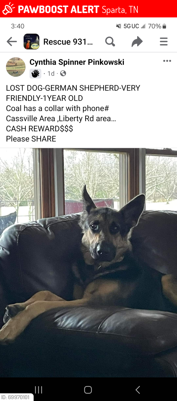 Lost Male Dog last seen Near Liberty Road, Sparta, TN, Sparta, TN 38583