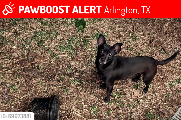 Lost Female Dog last seen Westcrest & Ravenwood, Arlington, TX 76013