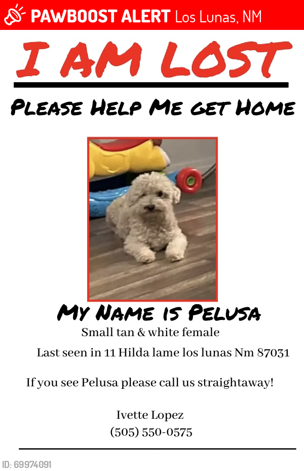 Lost Female Dog last seen Near hilda lane los lunas nm 87031, Los Lunas, NM 87031