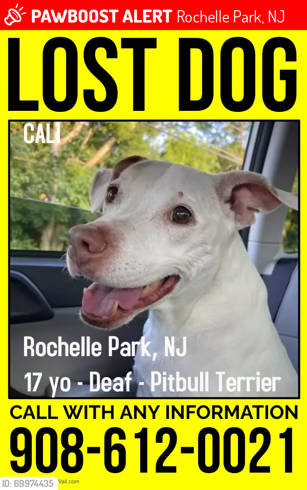 Rochelle Park, NJ Lost Female Dog, Cali Is Missing PawBoost
