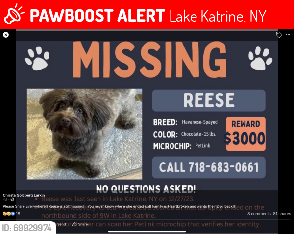 Lost Female Dog last seen Near jolly cow and 9W, Lake Katrine, NY 12449