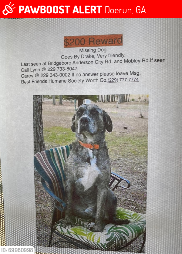 Lost Male Dog last seen Mobley rd & gintown rd Doerun ga, Doerun, GA 31744