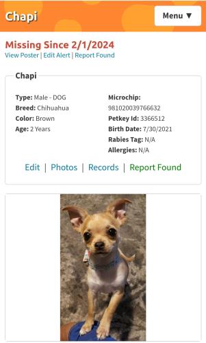 Lost Male Dog last seen bruton & Jim Miller , Dallas, TX 75217