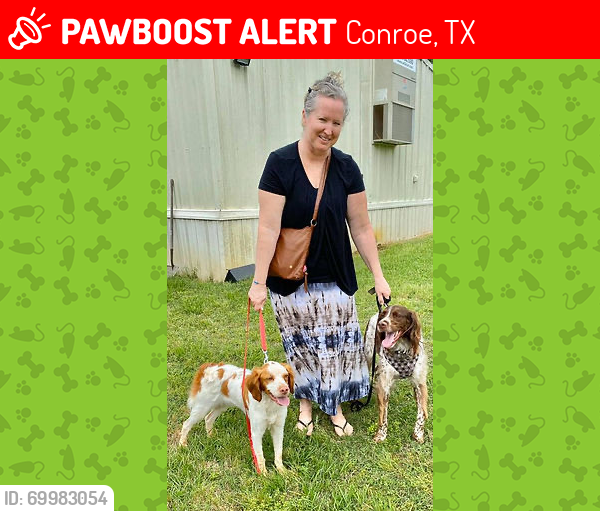 Lost Male Dog last seen Conroe , Conroe, TX 77301