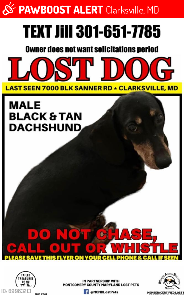 Lost Male Dog last seen Near block of Sanner Road, Clarksville, MD 21029