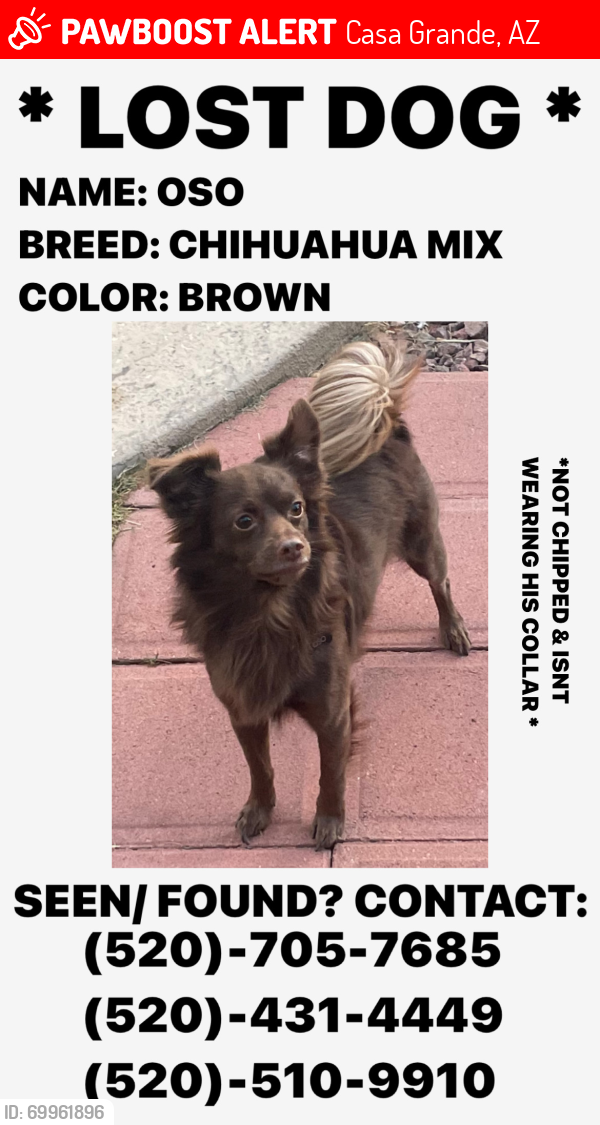 Lost Male Dog last seen Pinal avenue & Val Vista, Casa Grande, AZ 85122
