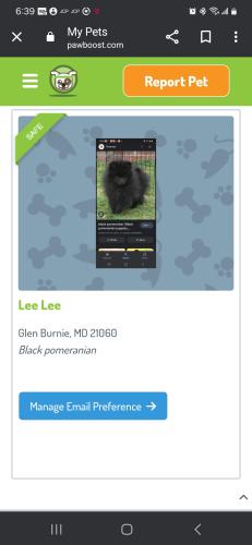 Lost Female Dog last seen Inglewood , Glen Burnie, MD 21060