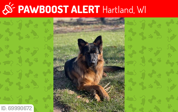 Lost Male Dog last seen Hwy E just south of Woodland Drive , Hartland, WI 53029