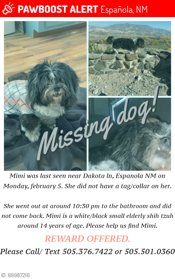 Lost Female Dog last seen Near Dakota lane, Española, NM 87532