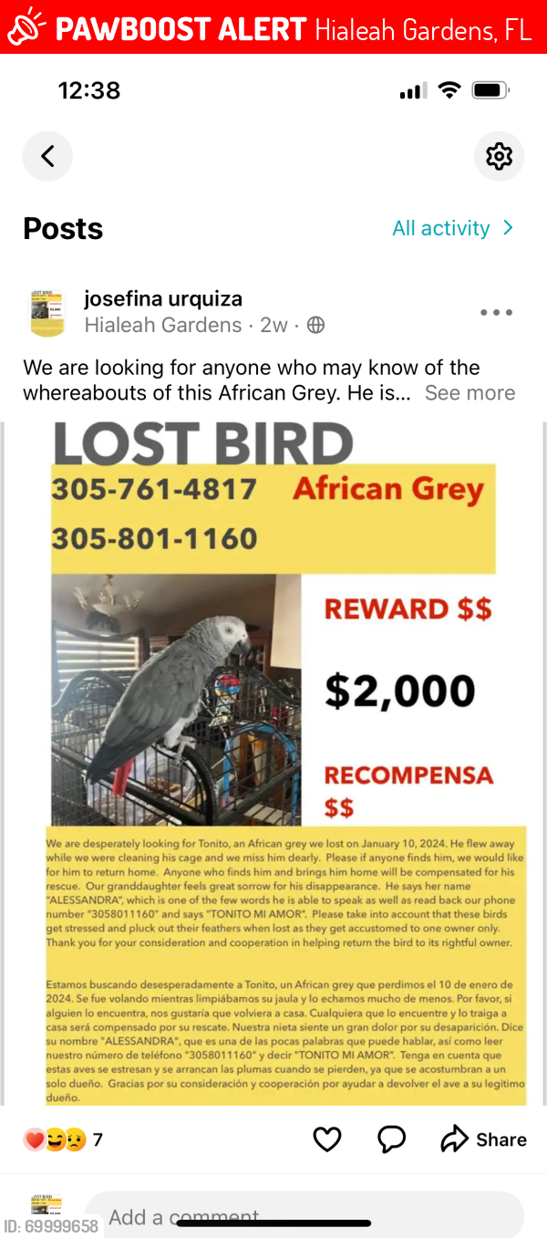 Lost Male Bird last seen Hialeah gardens 33018 , Hialeah Gardens, FL 33018