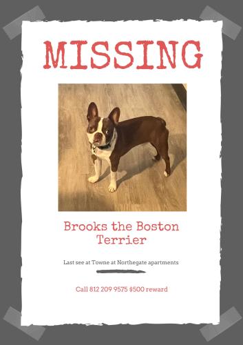 Lost Male Dog last seen Federal and New Life Drive, Colorado Springs, CO 80920