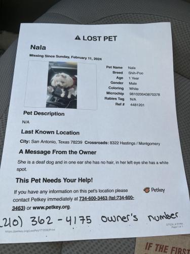 Lost Female Dog last seen Área Windcrest. Montgomery hastings Rd , Hastings, MI 49058