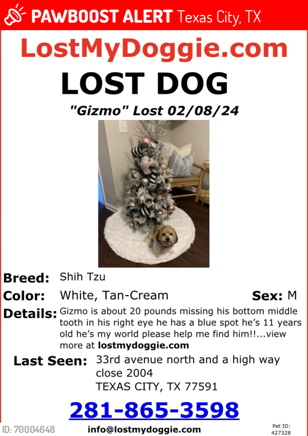 Lost Male Dog last seen hwy 2004, Texas City, TX 77590