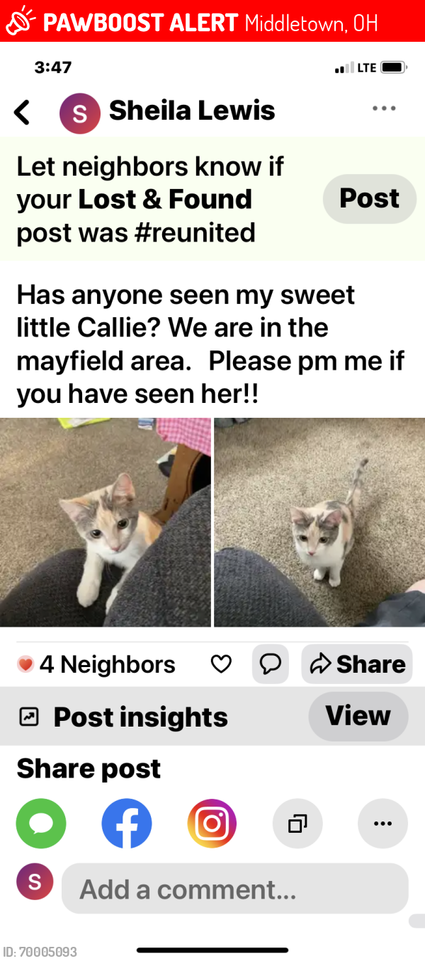 Lost Female Cat last seen Burbank , Middletown, OH 45044