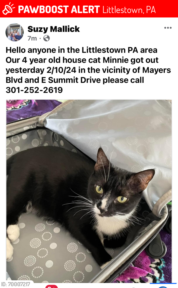 Lost Female Cat last seen Bollinger Rd, Littlestown, PA 17340