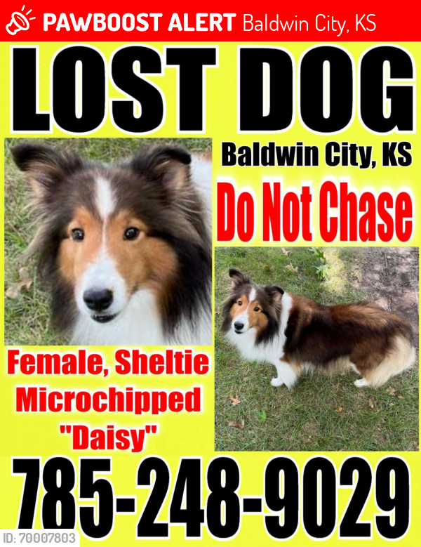 Lost Female Dog last seen Santa Fe Drive and Highway 56, Baldwin City, KS 66006