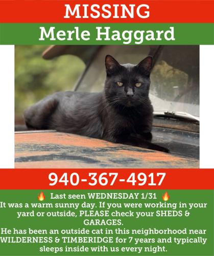 Lost Male Cat last seen Timberidge St & Wilderness St., Denton TX, Denton, TX 76205