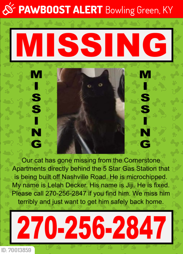 Lost Male Cat last seen Nashville Road, Bowling Green, KY 42101
