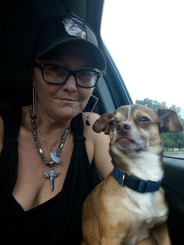 Lost Male Dog last seen He was seen today over by Spartan on spring garden ranch road, De Leon Springs, FL 32130