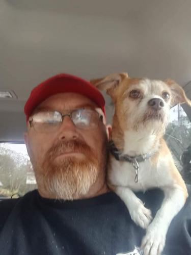Lost Male Dog last seen Hubert Pierce rd Near Watermain st., Mobile, AL 36608