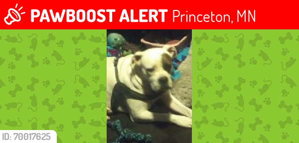 Lost Female Dog last seen Narstreet and 325th , Princeton, MN 55371