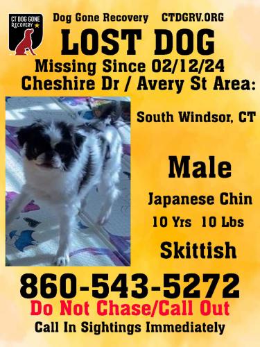 Lost Male Dog last seen North end cul de sac on Lawrence Road , South Windsor, CT 06074