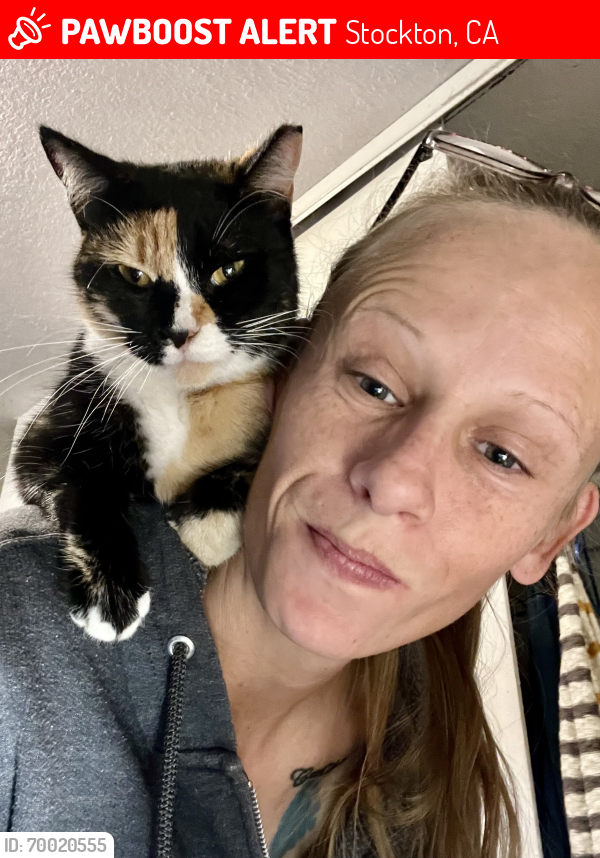 Lost Female Cat last seen Filbert & Fremont , Stockton, CA 95205