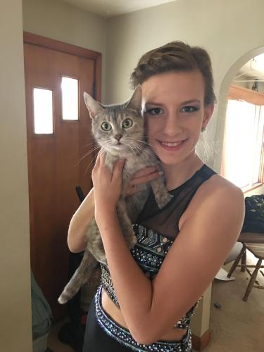 Lost Female Cat last seen By noodles and company, East town mall, Green Bay, WI 54302
