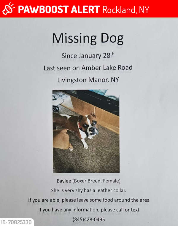 Lost Female Dog last seen Livingston manor ny, Rockland, NY 12776